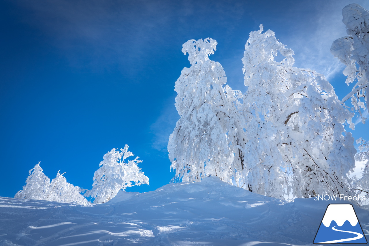 カムイスキーリンクス｜この上ないほど澄んだ青空と極上のパウダースノー。やっぱり『カムイ』は外れない！